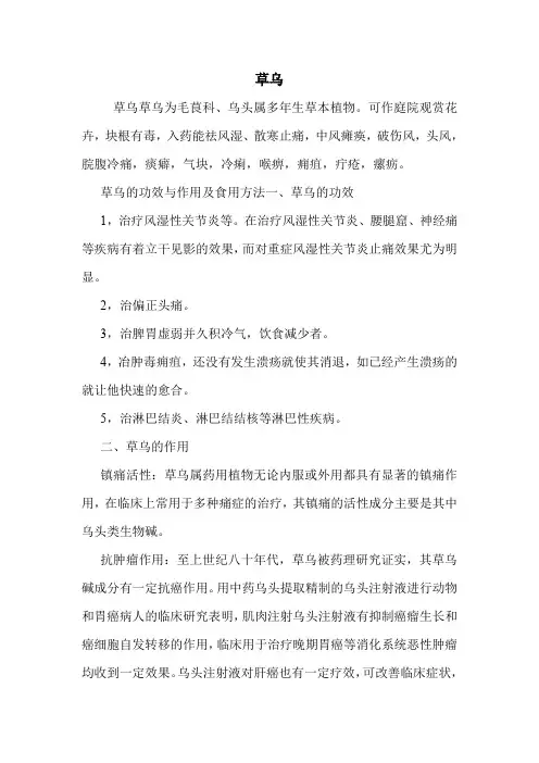 草乌的药用价值
