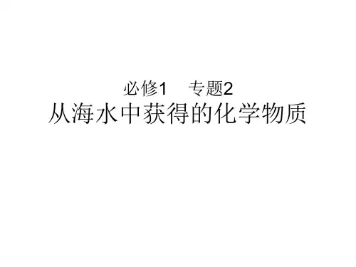 从海水中获得的化学物质