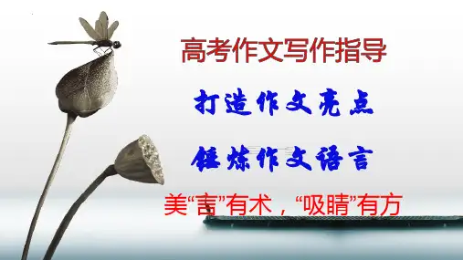 【公开课实用课件】高考作文讲解：打造作文亮点——锤炼语言