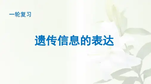一轮浙科版必修2第三章第四节遗传信息的表达PPT优秀课件