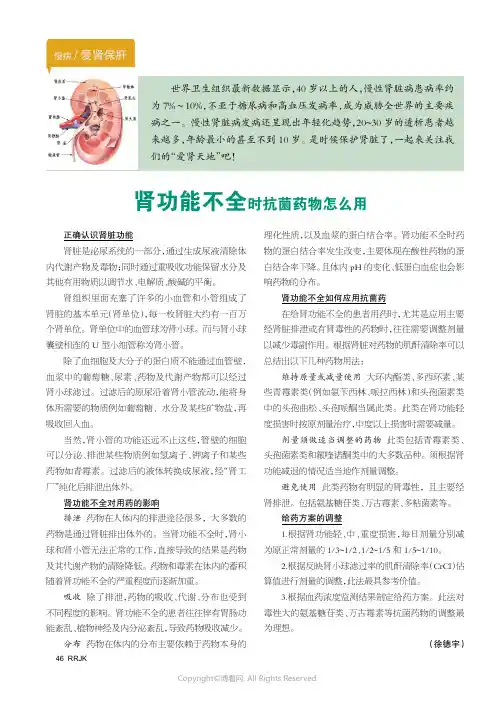 肾功能不全时抗菌药物怎么用
