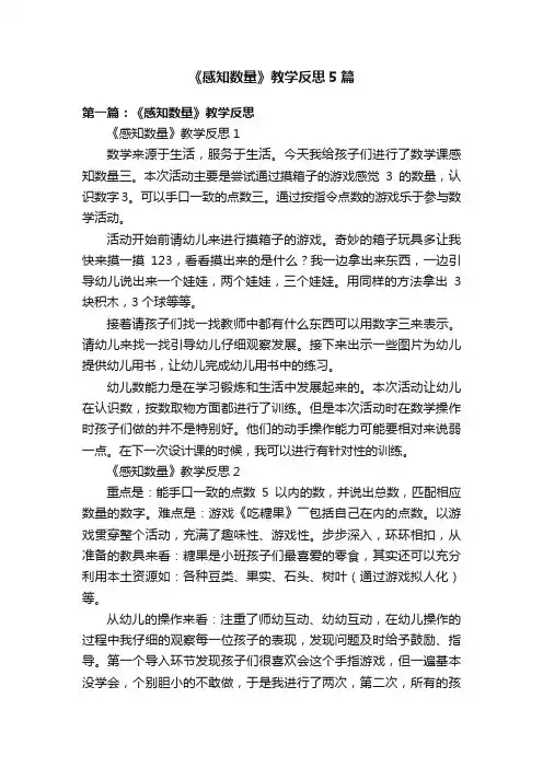 《感知数量》教学反思5篇