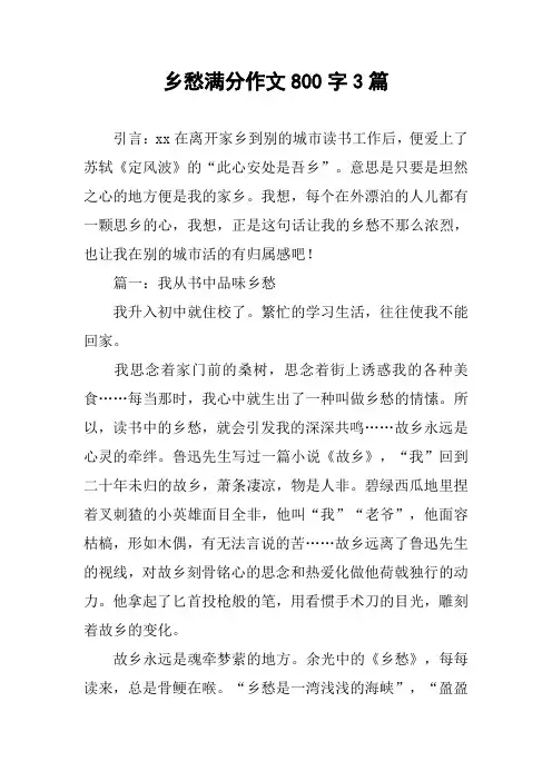 乡愁满分作文800字3篇