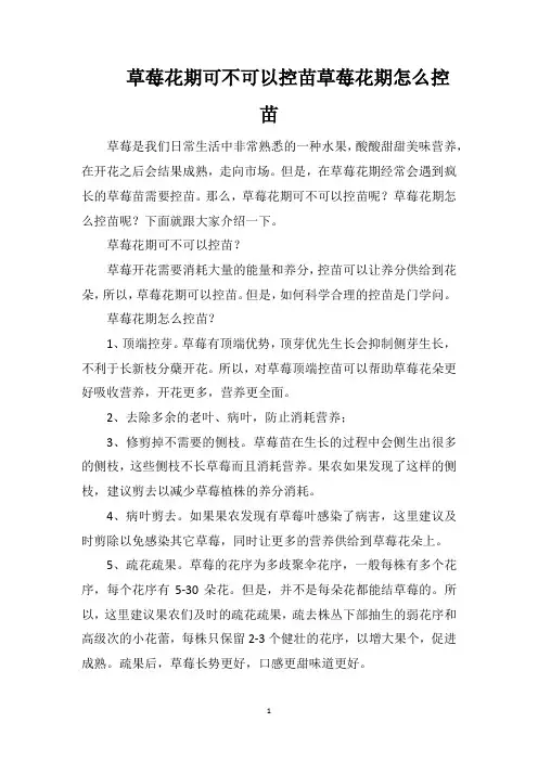 草莓花期可不可以控苗草莓花期怎么控苗