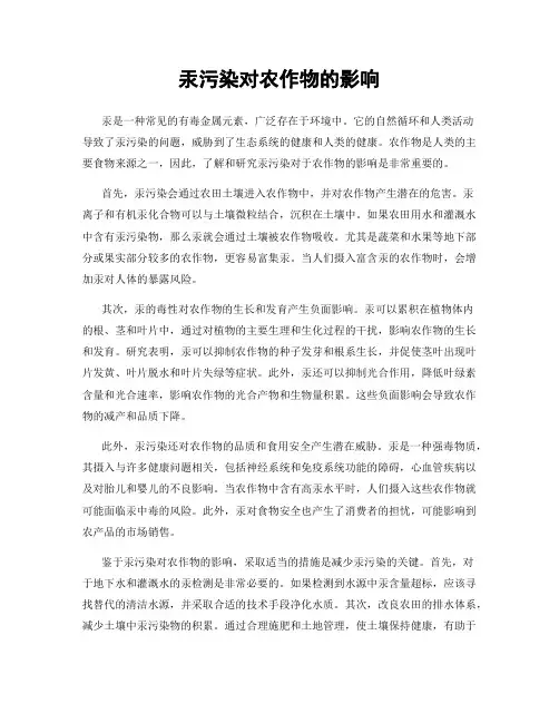 汞污染对农作物的影响
