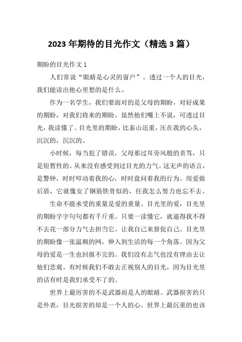 2023年期待的目光作文(精选3篇)