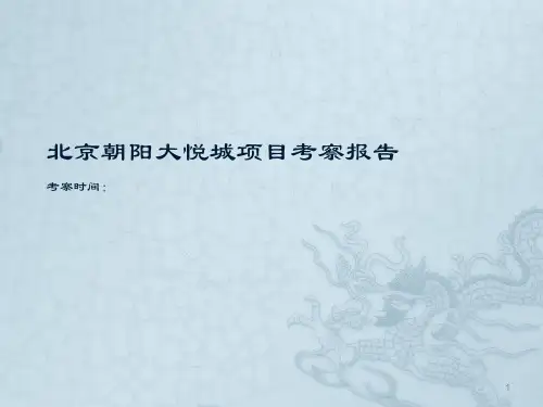 朝阳大悦城项目考察报告ppt课件