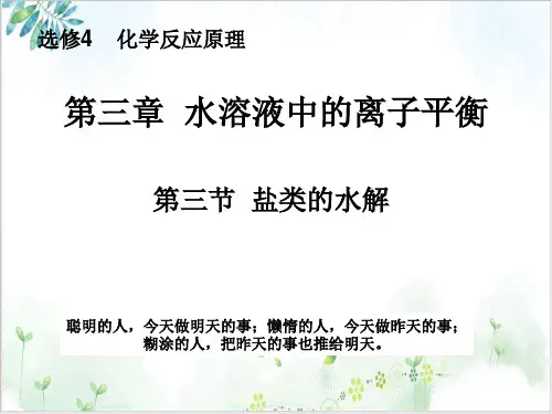 《盐类的水解》教学课件-PPT【人教版】1