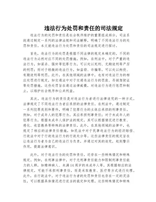 违法行为处罚和责任的司法规定