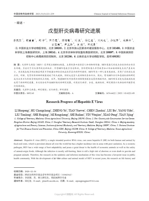 戊型肝炎病毒研究进展