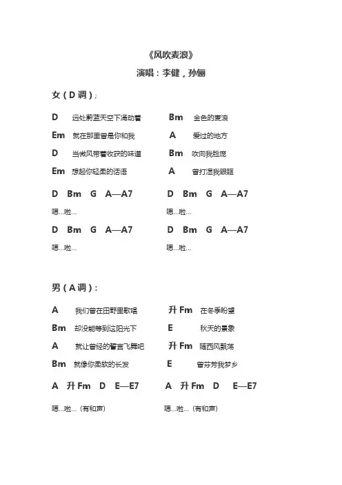 风吹麦浪吉他谱