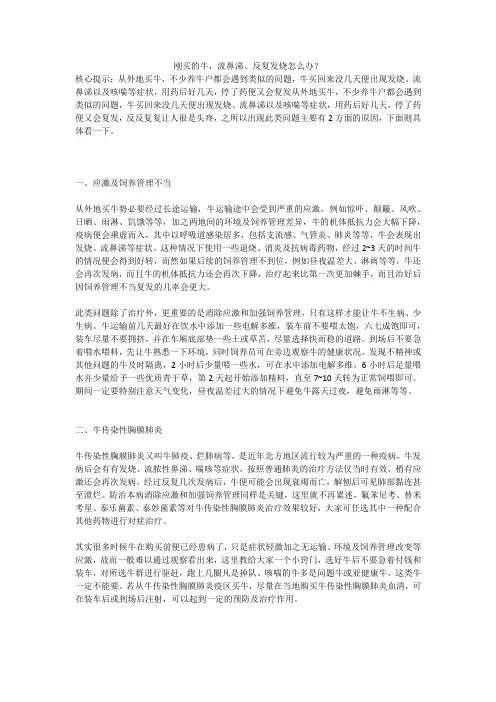 刚买的牛,流鼻涕、反复发烧怎么办？