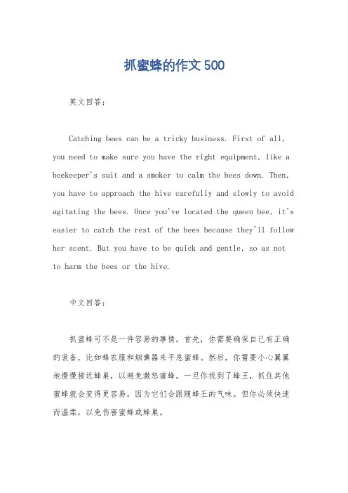 抓蜜蜂的作文500