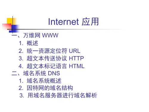 第六章Internet应用