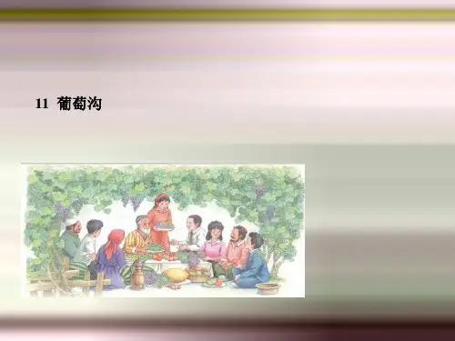 统编版二年级语文上册11.《葡萄沟》PPT1-优课件