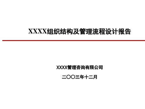 北大纵横XX公司组织结构及管理流程设计报告