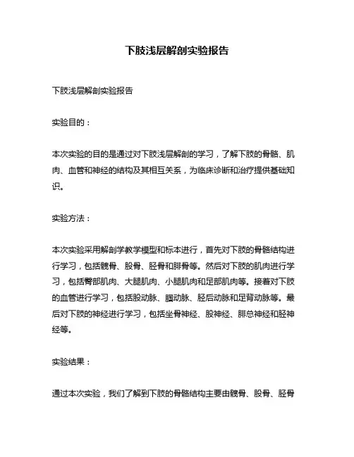 下肢浅层解剖实验报告