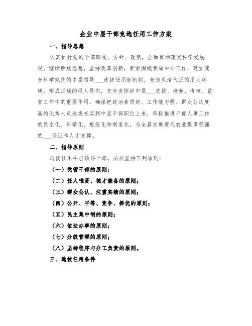 企业中层干部竞选任用工作方案(二篇)