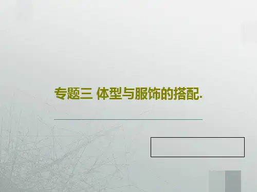 专题三 体型与服饰的搭配.PPT63页
