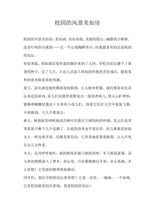 初中话题校园的风景美如诗