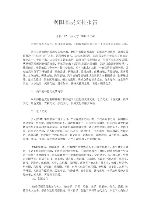 涡阳文化