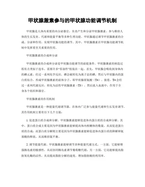 甲状腺激素参与的甲状腺功能调节机制