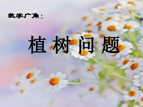 数学广角植树问题