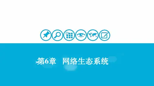 第6章  网络生态系统[34页]