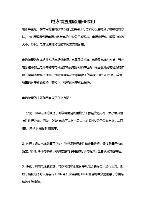 电泳装置的原理和作用
