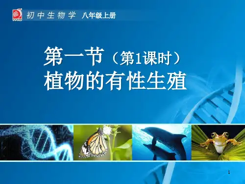 植物的有性生殖 PPT