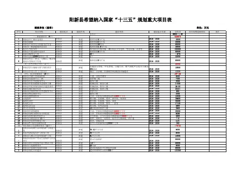 十三五规划重大项目