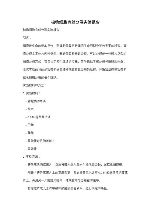 植物细胞有丝分裂实验报告