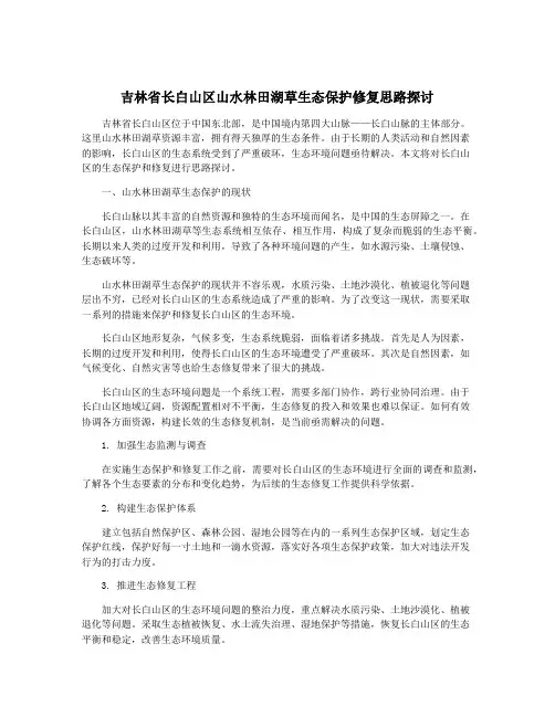 吉林省长白山区山水林田湖草生态保护修复思路探讨
