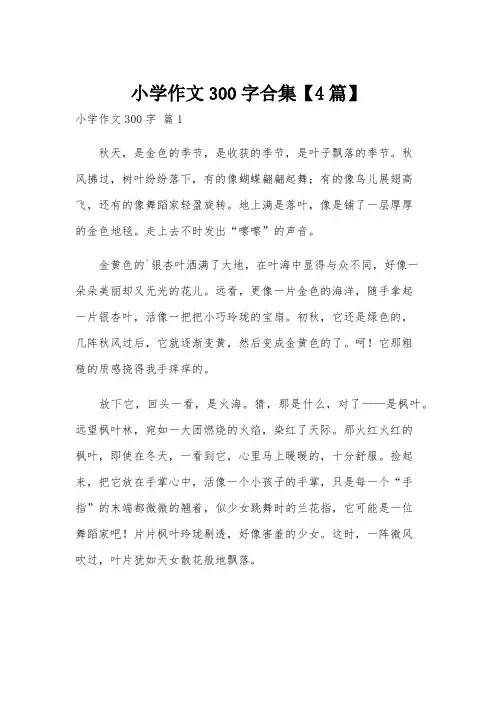小学作文300字合集【4篇】