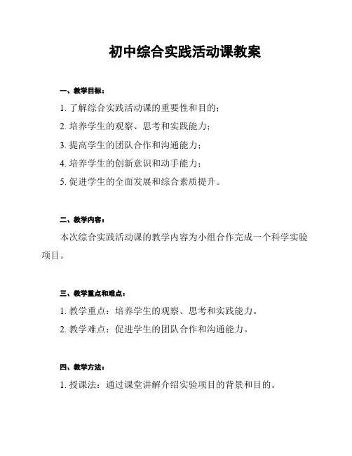 初中综合实践活动课教案
