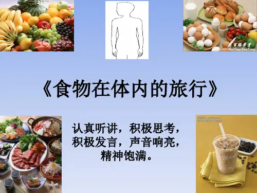 四年级上册科学课件-4.5食物在体内的旅行 教科版(共20张PPT)