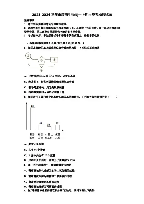 2023-2024学年重庆市生物高一上期末统考模拟试题含解析
