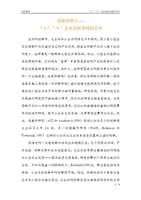 “大”、“小”企业创新领域的差异--(创新策略)