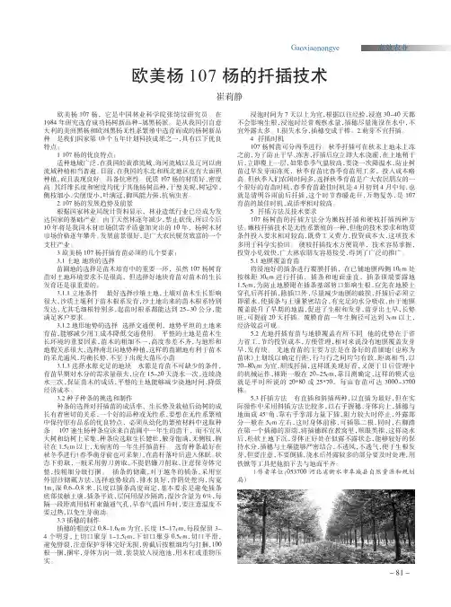 欧美杨107杨的扦插技术