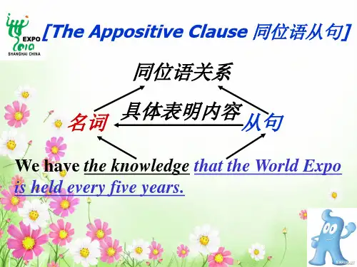 高中英语语法：同位语从句课件