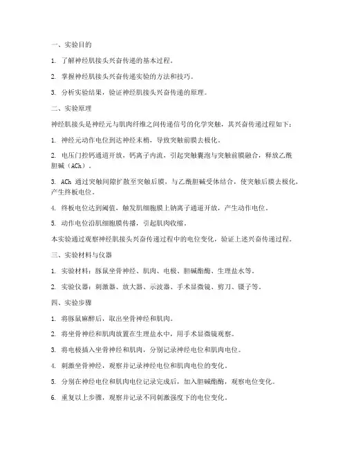 神经肌接头实验报告