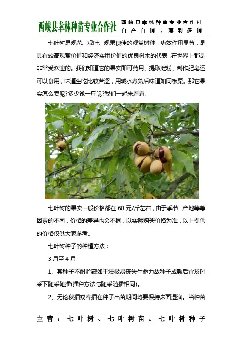 七叶树果实多少钱一斤？