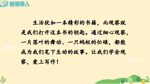 写作《热爱写作,学会观察》课件-2024-2025学年统编版语文七年级上册(2024)