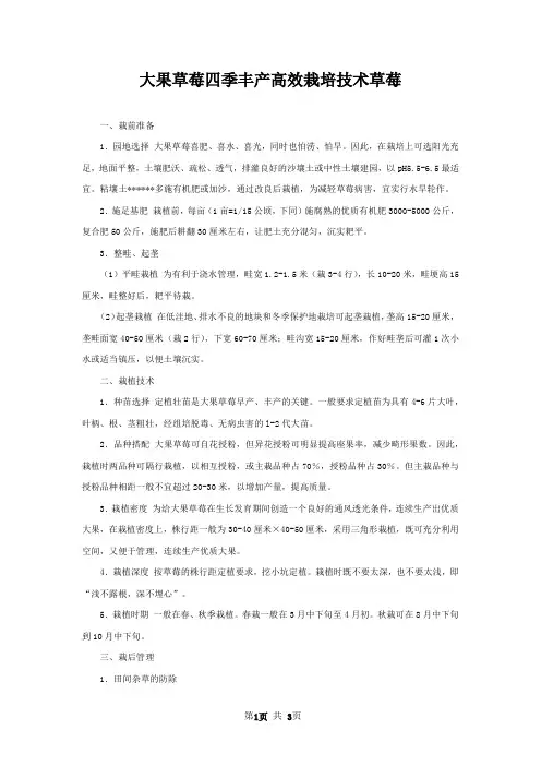 大果草莓四季丰产高效栽培技术草莓