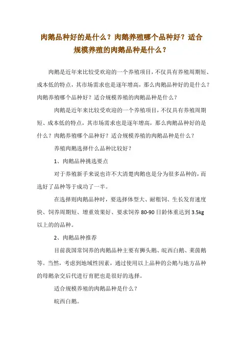 肉鹅品种--好的是什么？肉鹅养殖哪个品种好？适合规模养殖的肉鹅品种是什么？