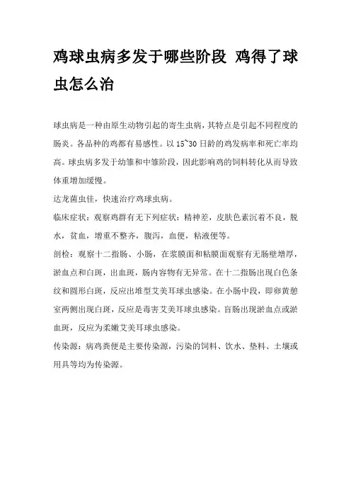 鸡球虫病多发于哪些阶段 鸡得了球虫怎么治