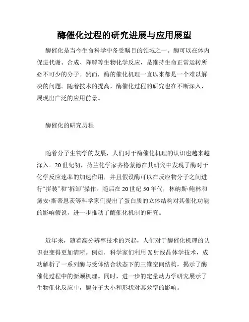 酶催化过程的研究进展与应用展望