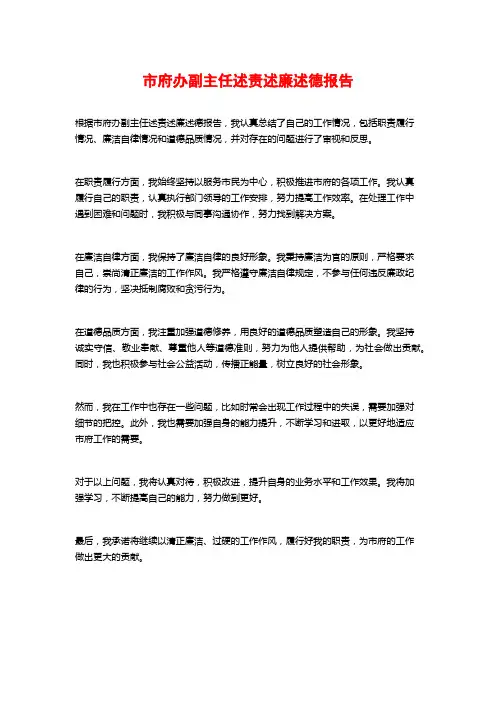 市府办副主任述责述廉述德报告
