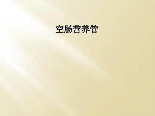 空肠营养管