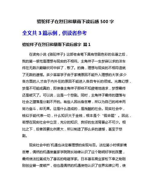骆驼祥子在烈日和暴雨下读后感500字